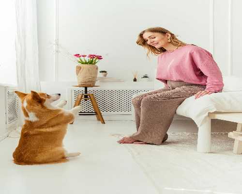 做包成功代生囊放在子宫哪里-包成功代生放囊胚成功率高吗