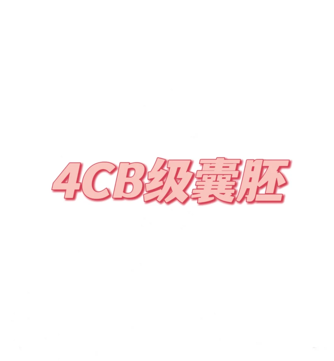 试管🧪-4CB级囊胚,代孕成功率高吗_代孕成本