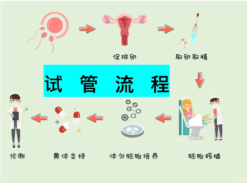 试管婴儿流程知多少,国内代妈公司简介,供卵代孕哪家最好