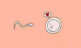 孕妈妈甲亢，新生儿能不能母乳喂养？进来了解,代孕妈妈代孕公司招私人孕妈,国内找人代怀