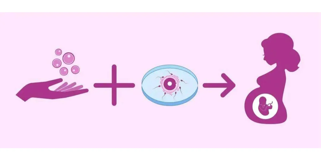 一代、二代、三代试管婴儿的 区别是什么？,代孕妈妈助孕公司