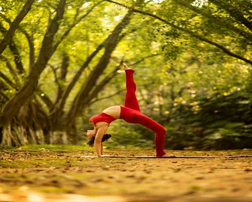 代生网合法吗_供卵代生中介,亳州做个试管婴儿费用大概要多少
