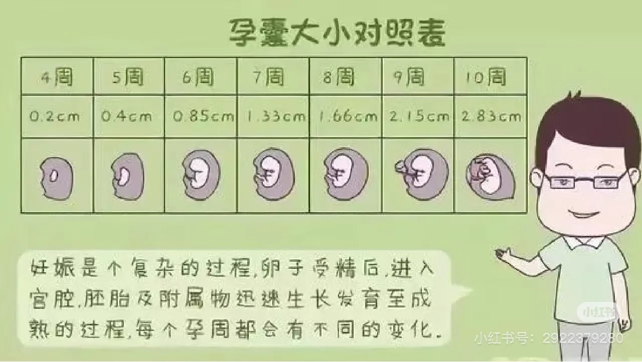 怀孕后怎样通过b超单子看【孕囊大小】,最好代孕服务