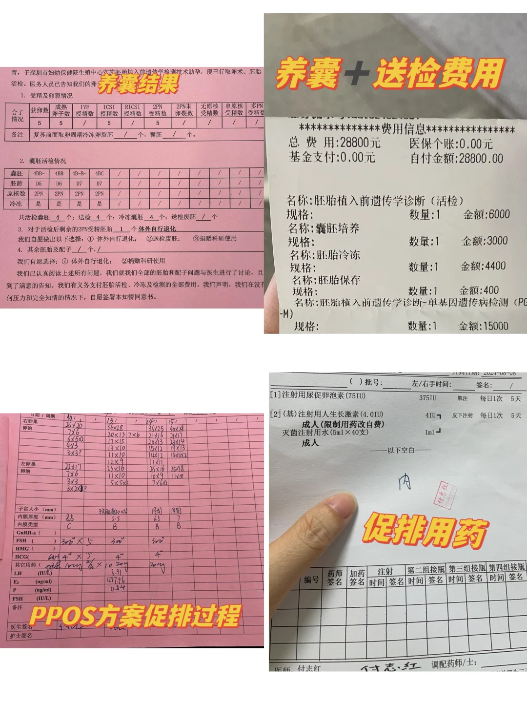 三代试管-养囊成功率80%,国内供卵中心正规吗,2026私人找人代孕