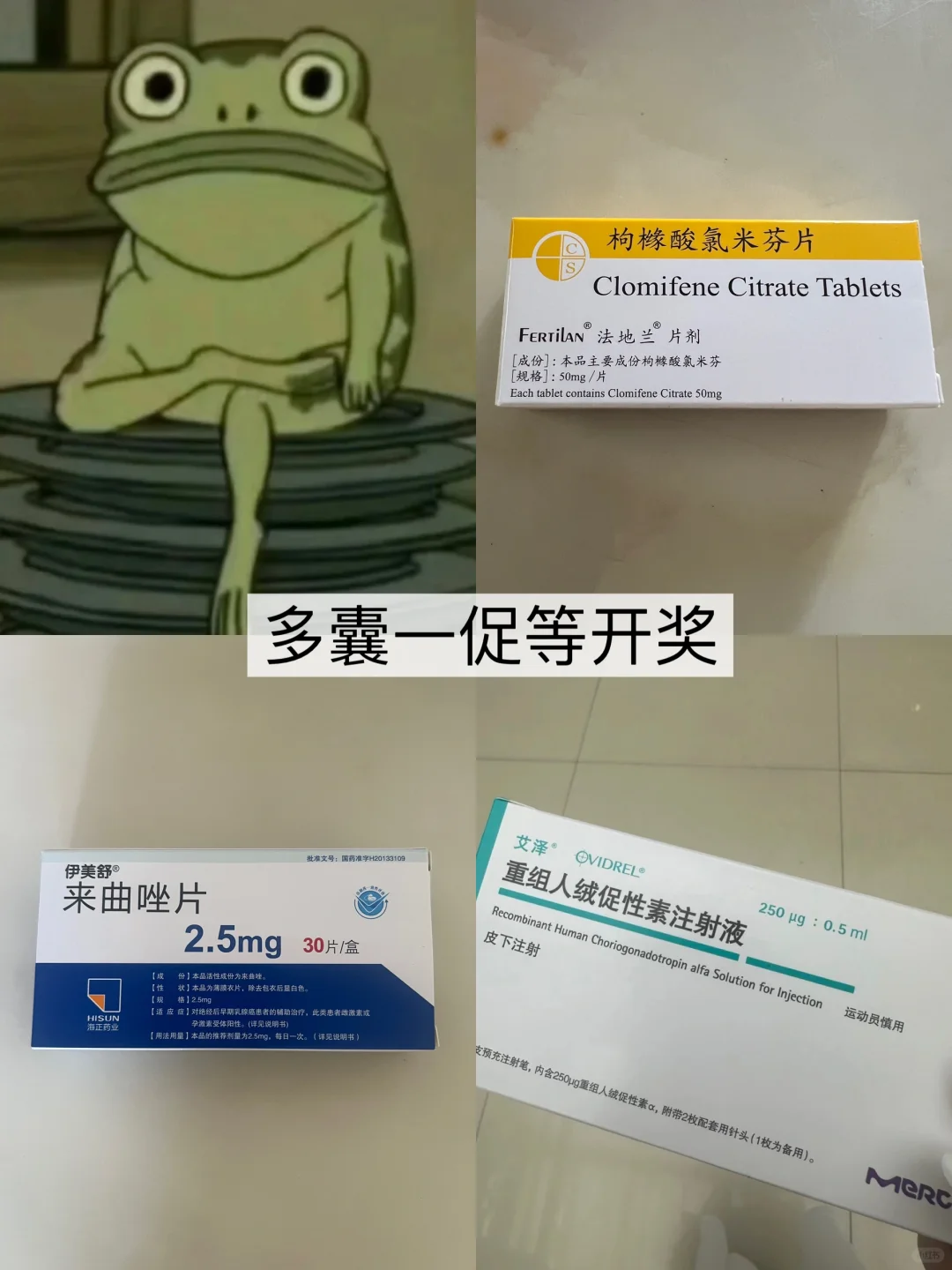 促排日记｜多囊一促等开奖🙏🏻,供卵代孕靠谱吗&国内哪家供卵快