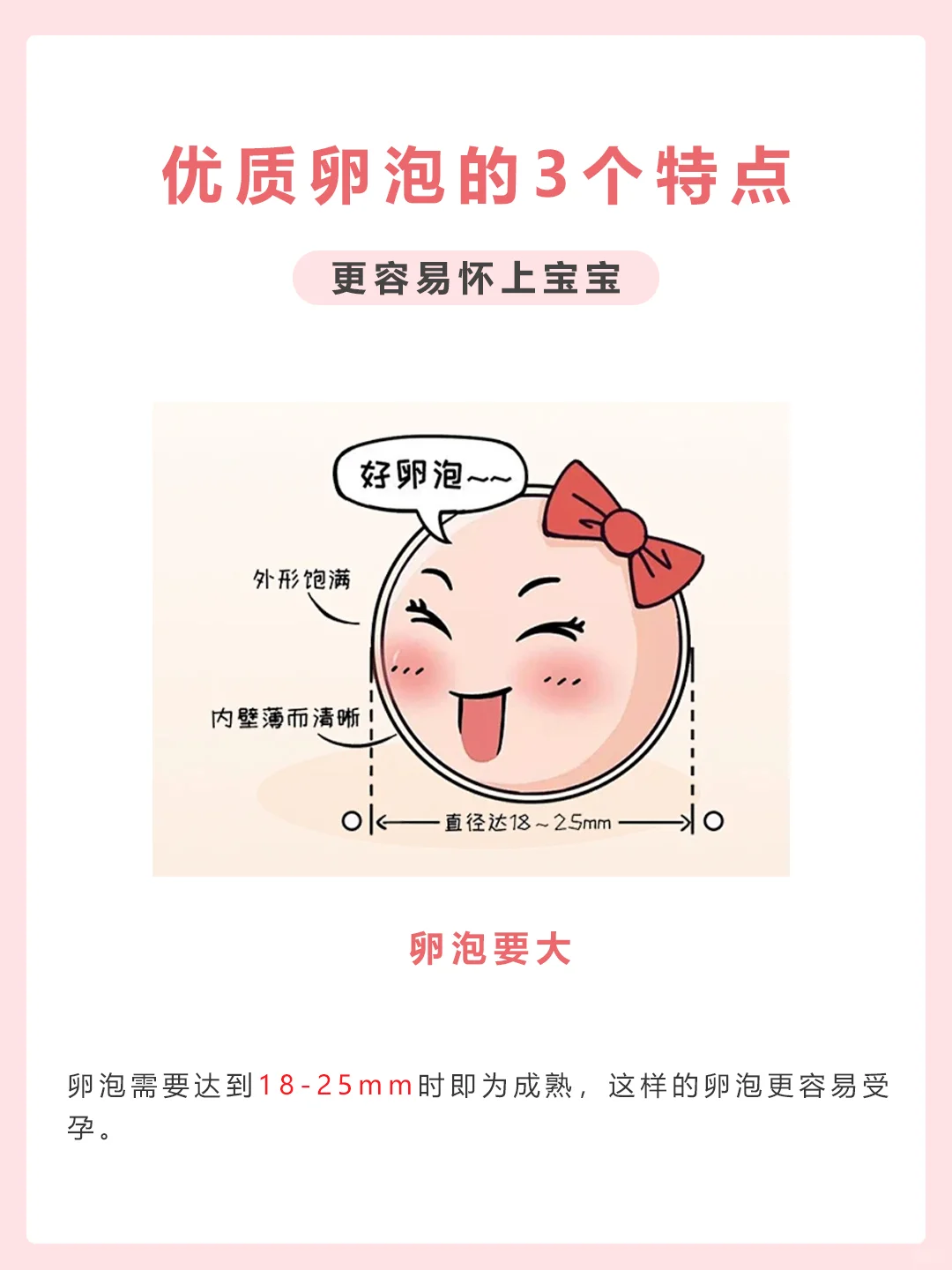 供卵移植囊胚成功率高吗？全流程步骤与时机选择攻略
